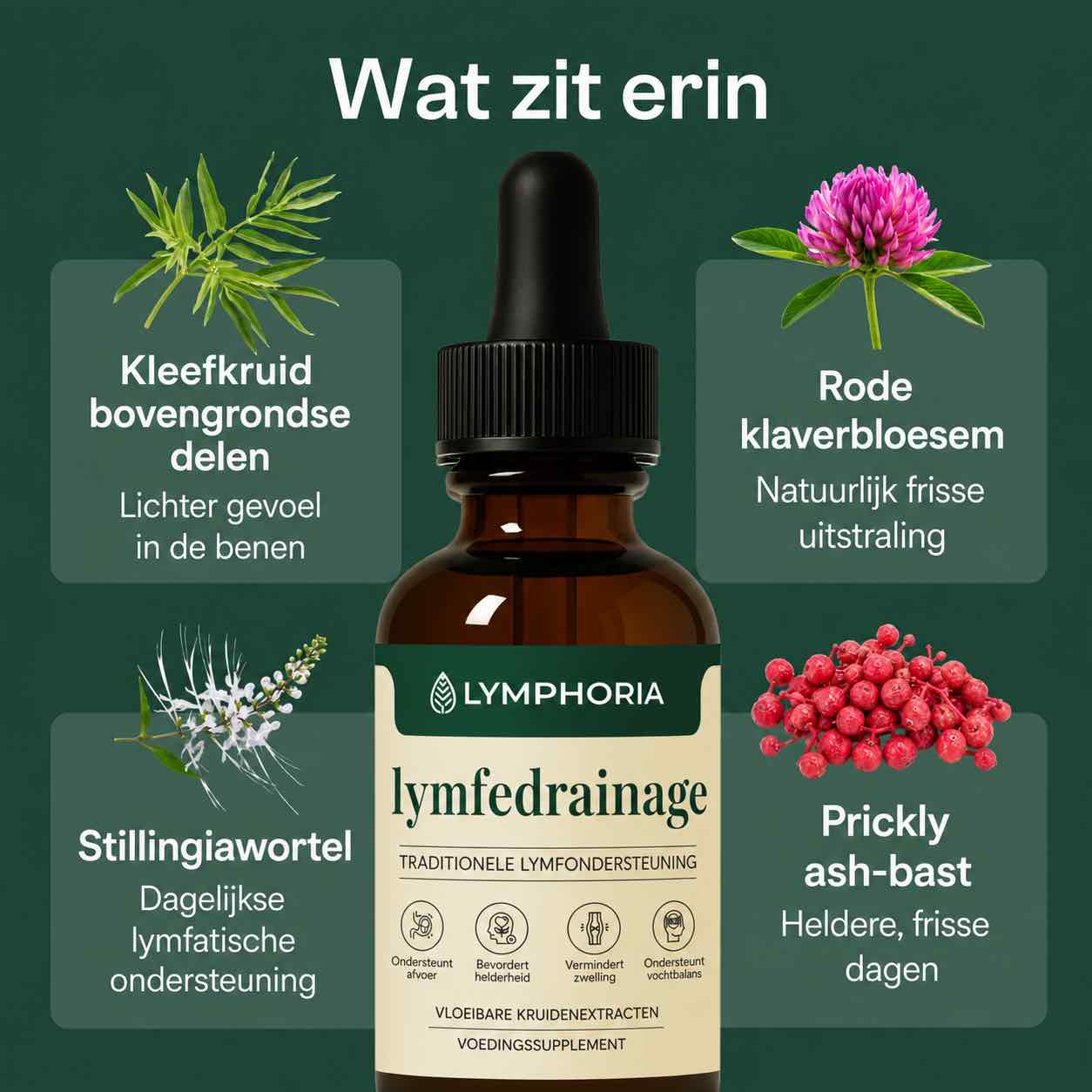Lymphoria™ LymfeDrainage Druppels
